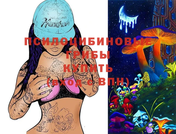эйфоретик Белокуриха