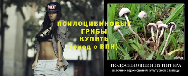 ГАЛЛЮЦИНОГЕННЫЕ ГРИБЫ Балахна